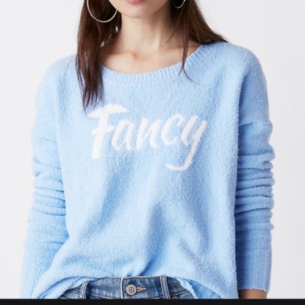 Express FANCY Oversized Tunic Sweater